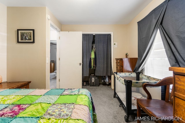 1002 Madison St, Grand Haven, MI 49417 - bedroom with carpet floors and a closet