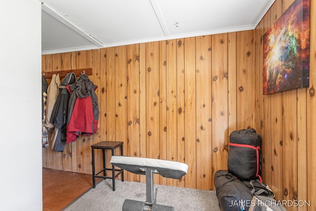 1002 Madison St, Grand Haven, MI 49417 - exercise room with wood walls and carpet flooring