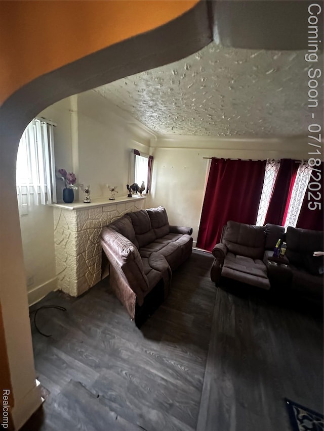 18532 Riopelle St, Highland Park, MI 48203 - photo 11