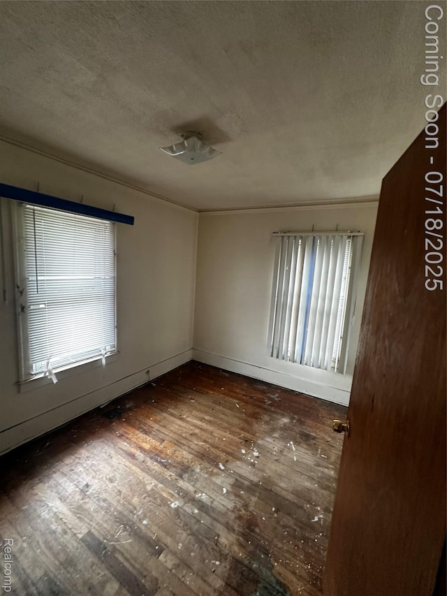 18532 Riopelle St, Highland Park, MI 48203 - photo 16