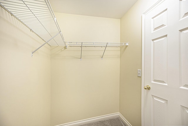 5724 Hampshire Ln, Ypsilanti, MI 48197 - walk in closet featuring carpet floors