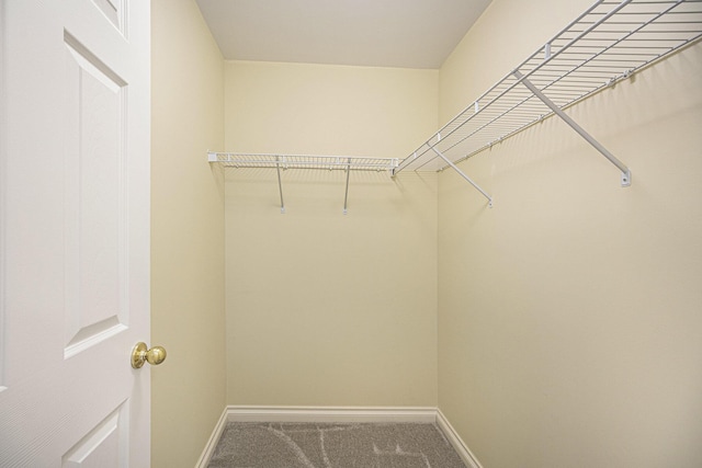 5724 Hampshire Ln, Ypsilanti, MI 48197 - walk in closet with carpet