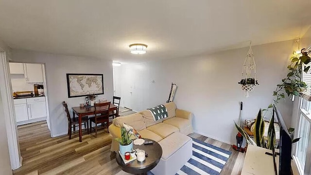 101 E Mckay St, Saline, MI 48176 - living area with light wood finished floors