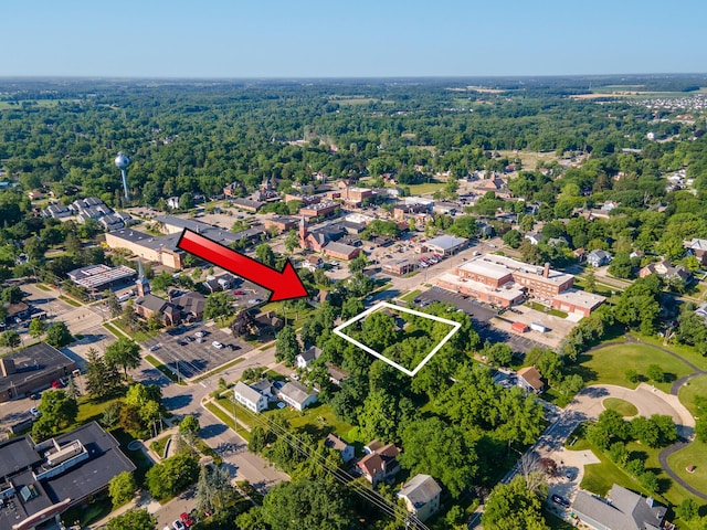 101 E Mckay St, Saline, MI 48176 - aerial view of property's location featuring property parcel outlined and a heavily wooded area