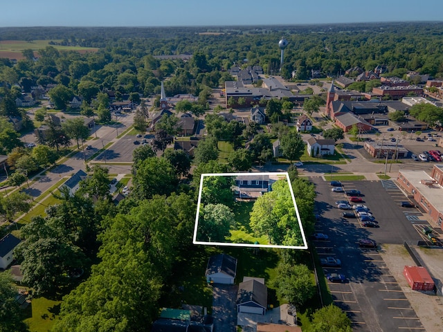 101 E Mckay St, Saline, MI 48176 - aerial view of property's location featuring property boundaries highlighted and a forest