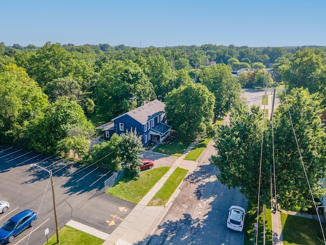 101 E Mckay St, Saline, MI 48176 - bird's eye view of a forest