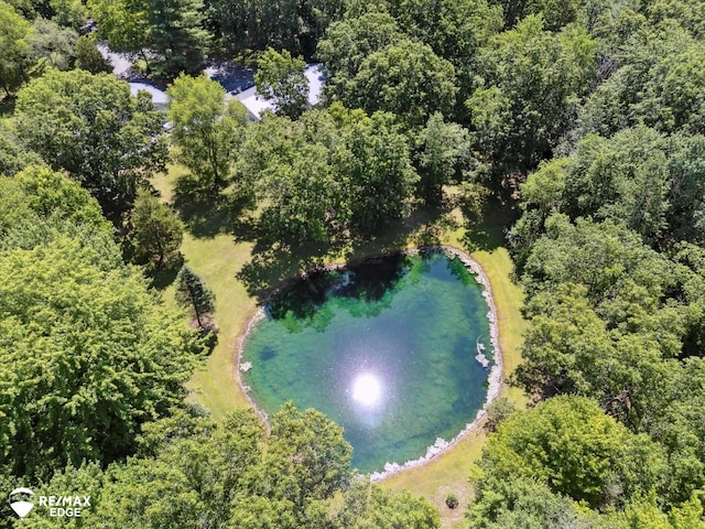 416 State Park Rd, Ortonville, MI 48462 - drone / aerial view of a large body of water and a heavily wooded area