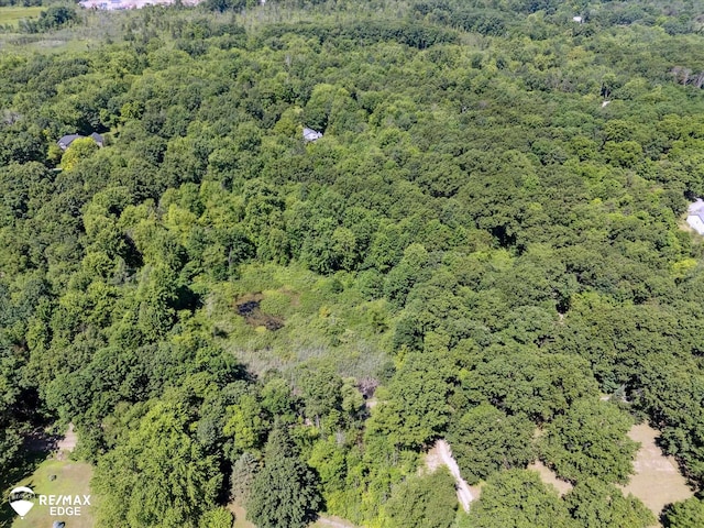 416 State Park Rd, Ortonville, MI 48462 - aerial overview of property's location with a forest
