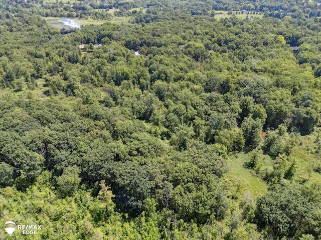 416 State Park Rd, Ortonville, MI 48462 - bird's eye view of a heavily wooded area