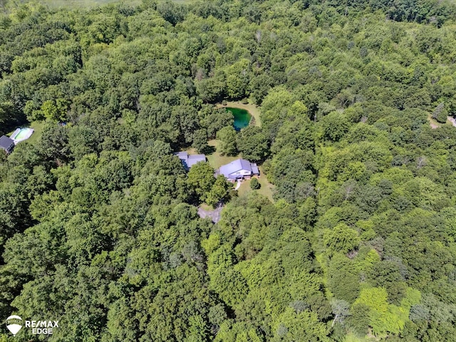 416 State Park Rd, Ortonville, MI 48462 - view of property location featuring a forest