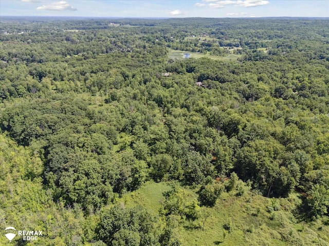416 State Park Rd, Ortonville, MI 48462 - aerial view of a forest
