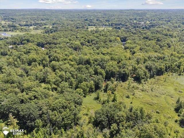416 State Park Rd, Ortonville, MI 48462 - bird's eye view of a forest