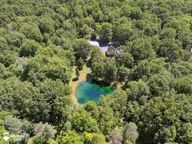 416 State Park Rd, Ortonville, MI 48462 - drone / aerial view of a forest