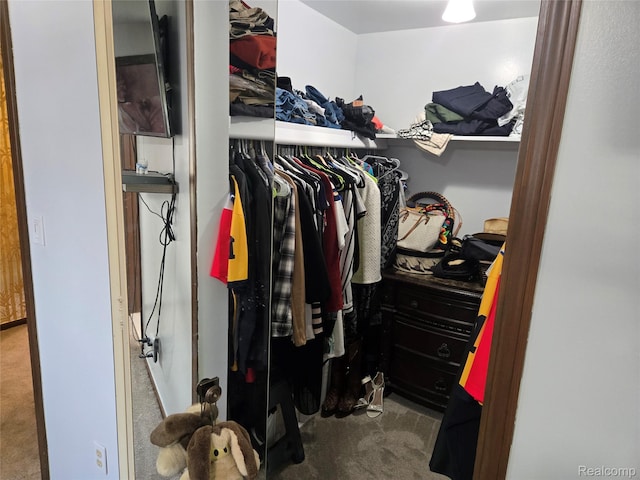 17328 Mcnamara Dr, Garden City, MI 48152 - walk in closet with carpet