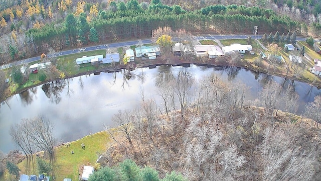 524 S Cherry St, Evart, MI 49631 - aerial view of property's location with a nearby body of water