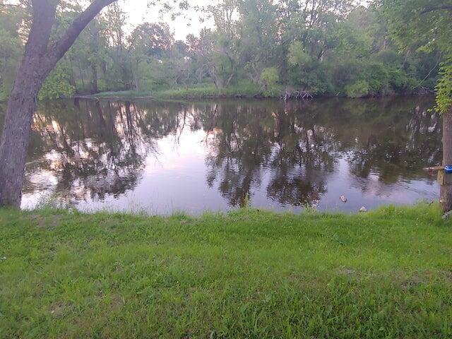 524 S Cherry St, Evart, MI 49631 - water view with a heavily wooded area