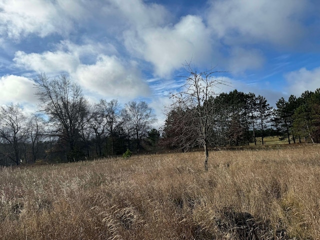 524 S Cherry St, Evart, MI 49631 - view of local wilderness