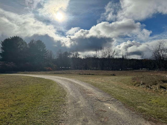 524 S Cherry St, Evart, MI 49631 - view of street with a wooded view