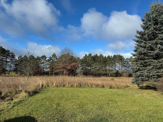 524 S Cherry St, Evart, MI 49631 - view of grassy yard