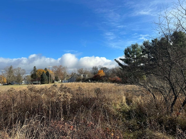 524 S Cherry St, Evart, MI 49631 - view of local wilderness
