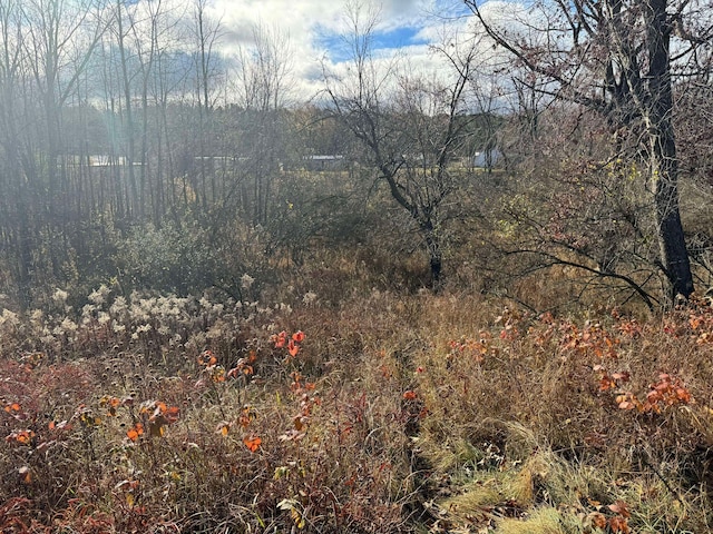 524 S Cherry St, Evart, MI 49631 - view of woods