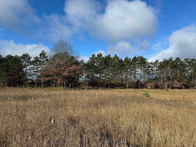 524 S Cherry St, Evart, MI 49631 - view of nature