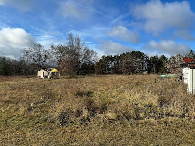 524 S Cherry St, Evart, MI 49631 - view of yard