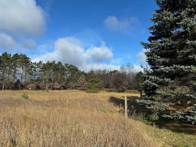524 S Cherry St, Evart, MI 49631 - view of local wilderness