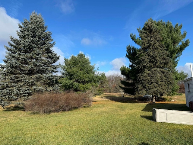 524 S Cherry St, Evart, MI 49631 - view of green lawn