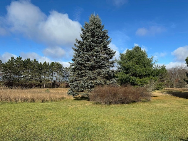 524 S Cherry St, Evart, MI 49631 - view of grassy yard