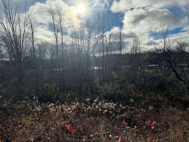 524 S Cherry St, Evart, MI 49631 - view of woods