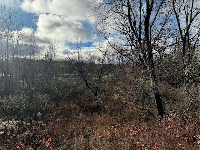524 S Cherry St, Evart, MI 49631 - view of woods