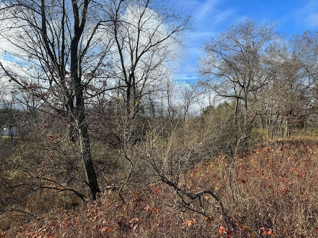 524 S Cherry St, Evart, MI 49631 - view of nature