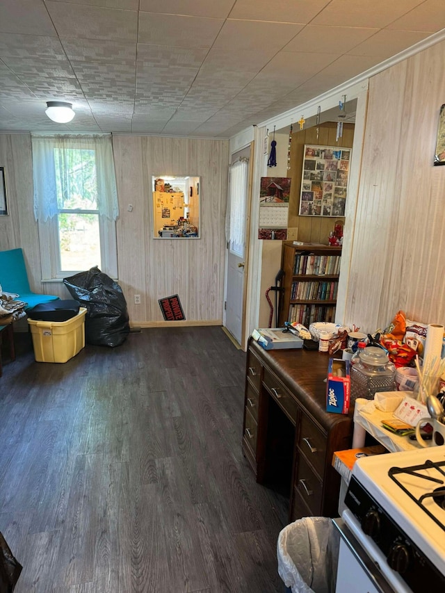 524 S Cherry St, Evart, MI 49631 - office space featuring dark wood-type flooring and wooden walls