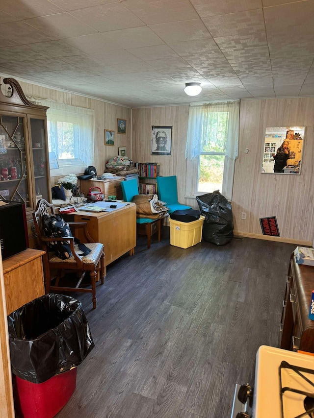524 S Cherry St, Evart, MI 49631 - interior space with wood finished floors and wooden walls