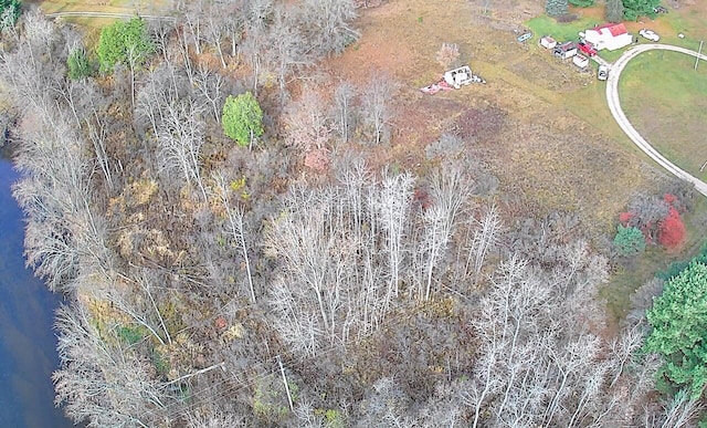 524 S Cherry St, Evart, MI 49631 - aerial view of property's location