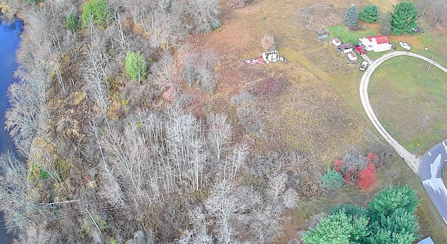 524 S Cherry St, Evart, MI 49631 - aerial view