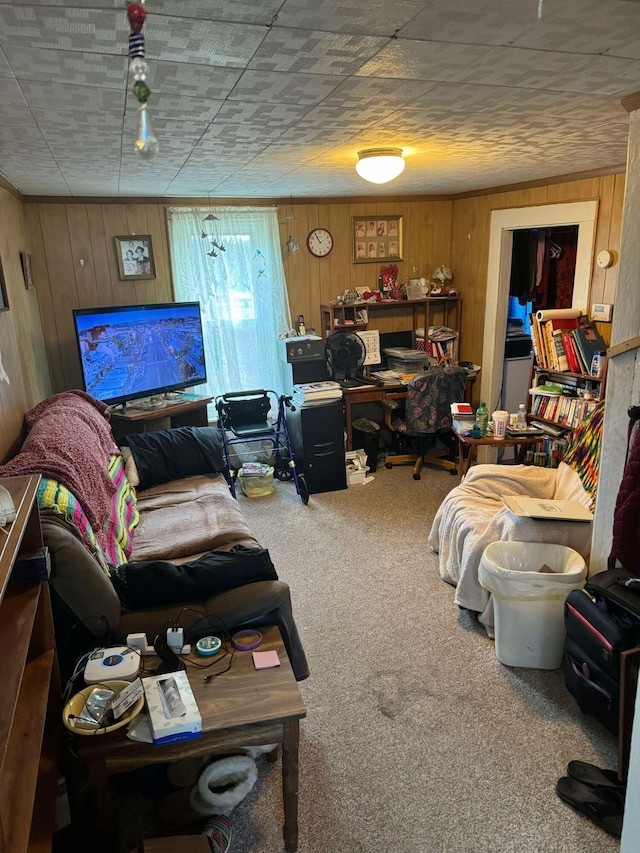 524 S Cherry St, Evart, MI 49631 - living area featuring carpet floors and wood walls