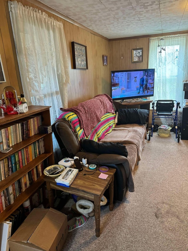 524 S Cherry St, Evart, MI 49631 - living area featuring carpet floors and wooden walls
