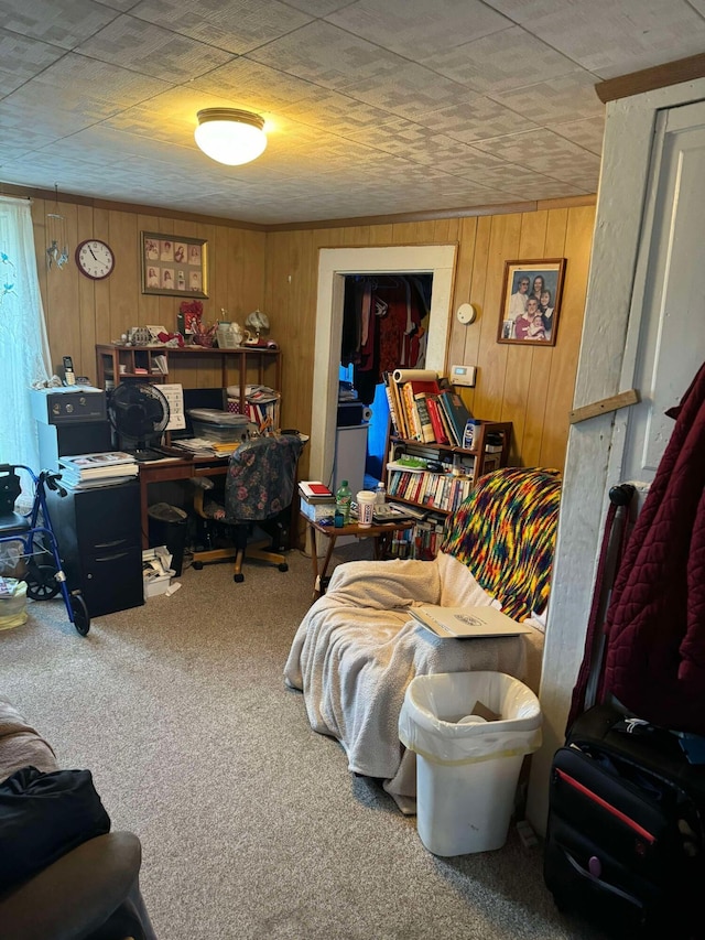 524 S Cherry St, Evart, MI 49631 - office area featuring carpet and wooden walls