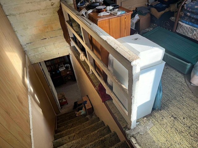 524 S Cherry St, Evart, MI 49631 - view of storm shelter