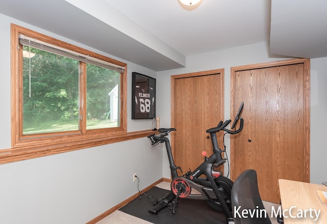 530 Pine Haven Dr, Comstock Park, MI 49321 - exercise area featuring healthy amount of natural light