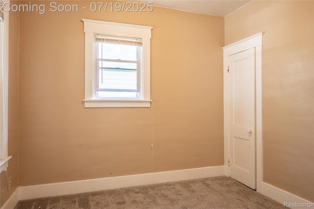 207 Richter St, River Rouge, MI 48218 - photo 23