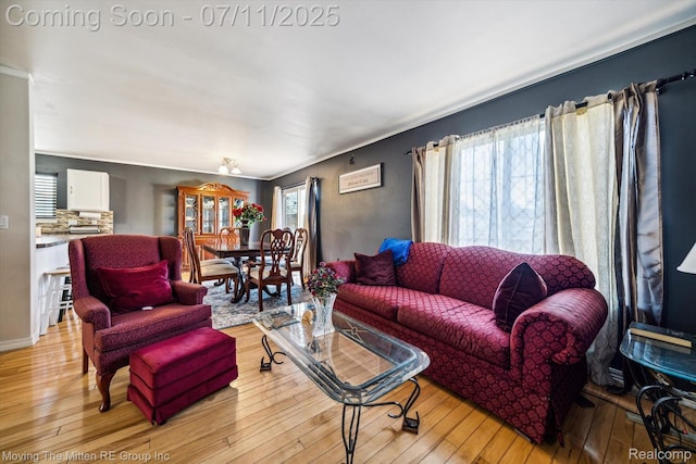 21203 Collingham Ave, Farmington Hills, MI 48336 - living area with light wood-style floors