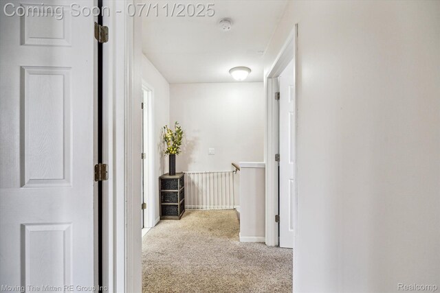 21203 Collingham Ave, Farmington Hills, MI 48336 - hallway with carpet flooring