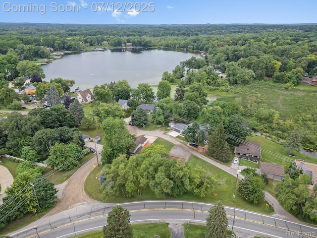 3811 Benstein Rd, Commerce Twp, MI 48382 - drone / aerial view of a large body of water