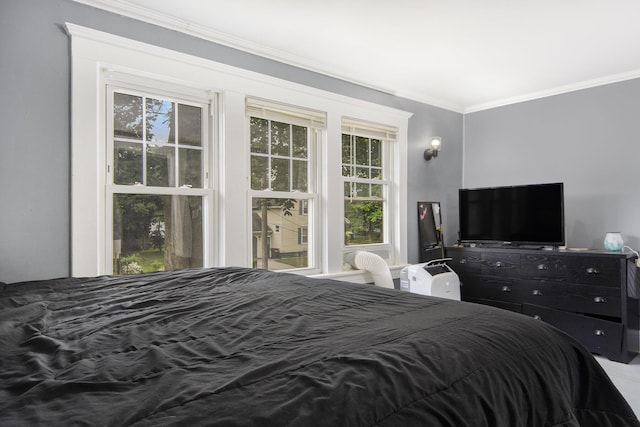 728 Fifth St, Jackson, MI 49203 - bedroom with crown molding