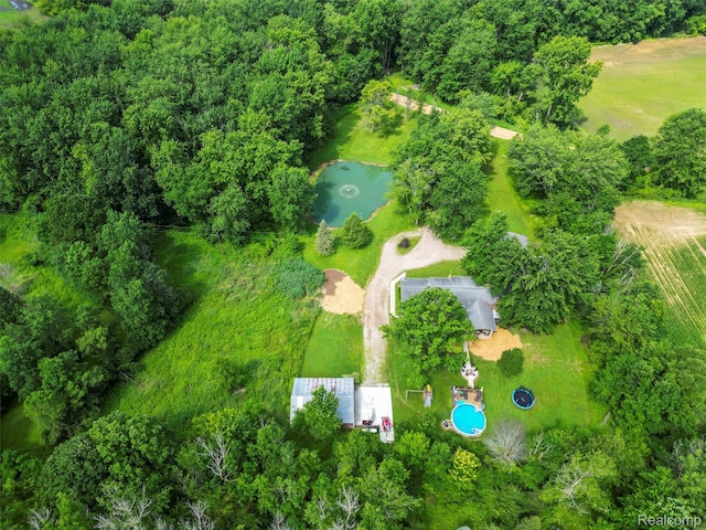 3365 Howland Rd, Almont, MI 48003 - bird's eye view of a large body of water