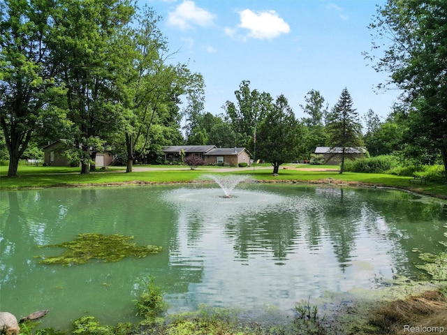 3365 Howland Rd, Almont, MI 48003 - water view