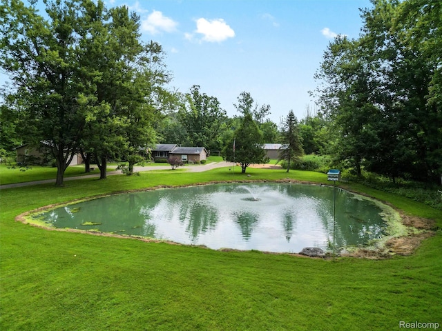 3365 Howland Rd, Almont, MI 48003 - water view